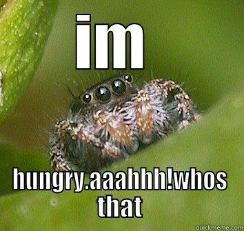 IM  HUNGRY.AAAHHH!WHOS THAT Misunderstood Spider