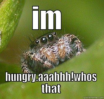 jump jump jump - IM  HUNGRY.AAAHHH!WHOS THAT Misunderstood Spider