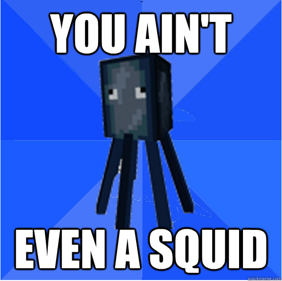 You ain't Even a squid  Socially Awkward Squid