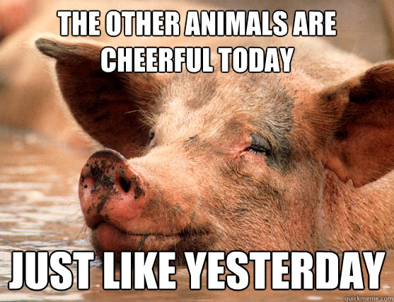 the other animals are cheerful today just like yesterday  Stoner Pig