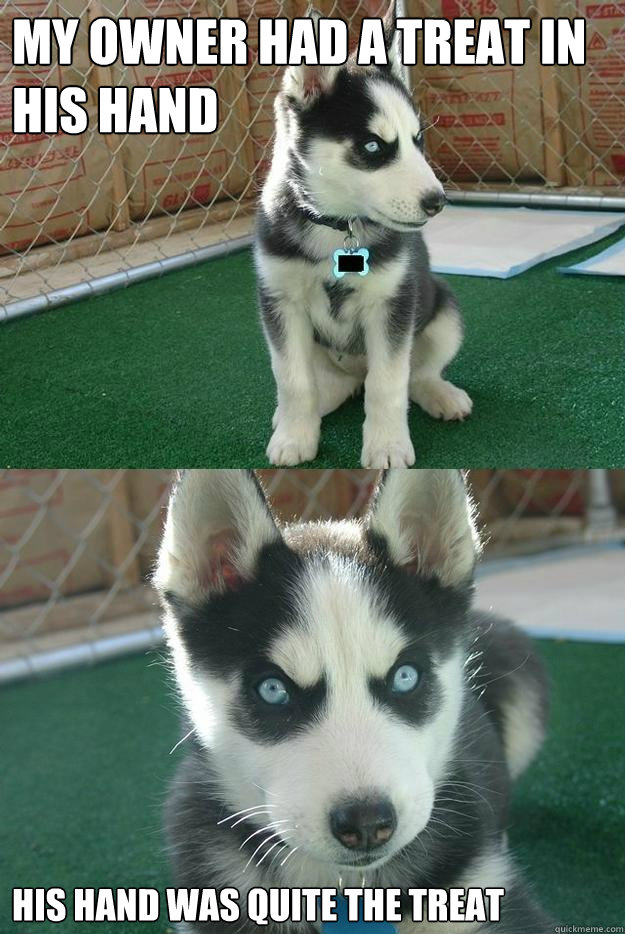 My owner had a treat in his hand His hand was quite the treat  Insanity puppy