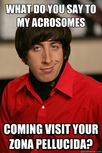 What do you say to my Acrosomes  coming visit your zona pellucida?  Howard Wolowitz