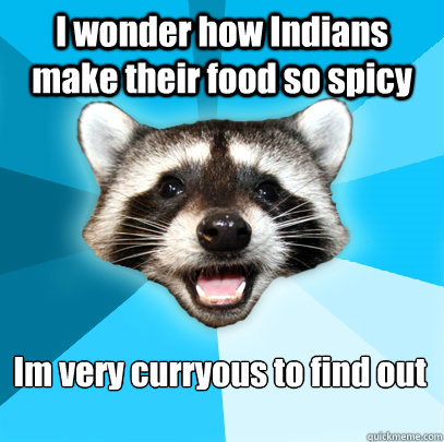 I wonder how Indians make their food so spicy Im very curryous to find out  Lame Pun Coon
