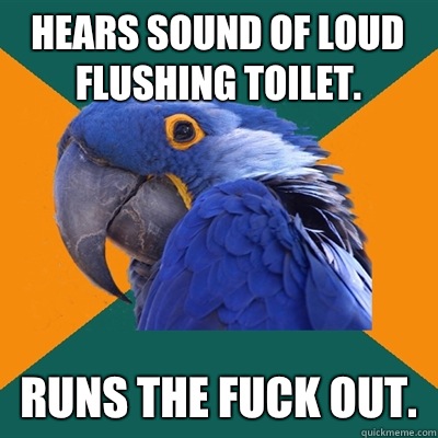 Hears sound of loud flushing toilet. Runs the fuck out.  Paranoid Parrot