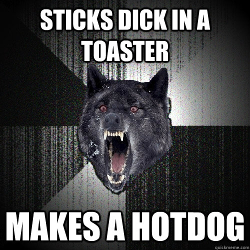 Sticks dick in a toaster Makes a hotdog   Insanity Wolf