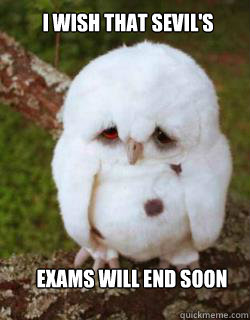 I wish that Sevil's exams will end soon  Sad Owl