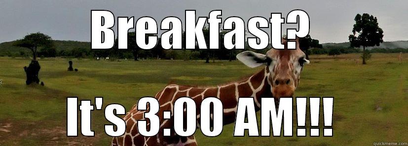 BREAKFAST? IT'S 3:00 AM!!! Misc