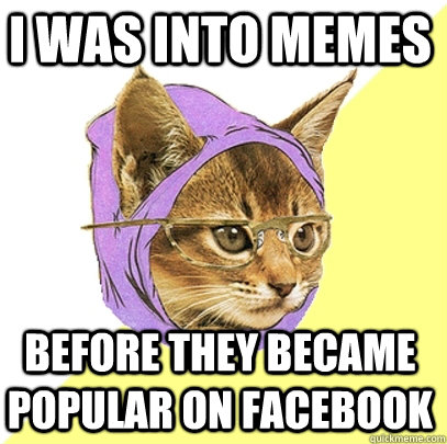 I was into memes before they became popular on facebook  Hipster Kitty