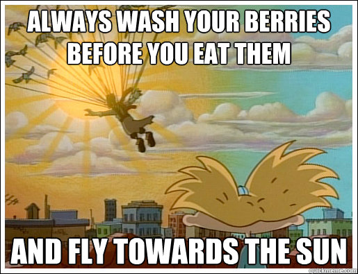 Always wash your berries before you eat them and fly towards the sun - Always wash your berries before you eat them and fly towards the sun  Pigeon Man