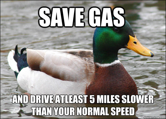 save gas and drive atleast 5 miles slower than your normal speed  Actual Advice Mallard