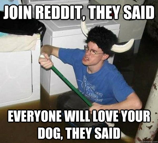Join Reddit, they said Everyone will love your dog, they said  They said