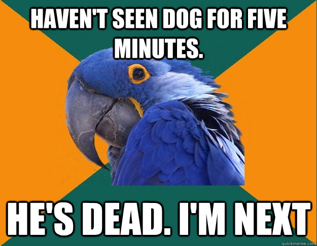 Haven't seen dog for five minutes. He's dead. I'm next  Paranoid parrot flat tire