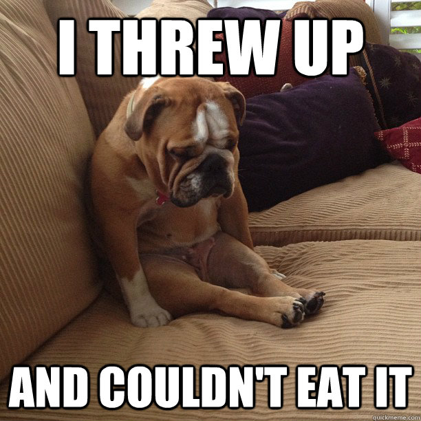 i threw up and couldn't eat it - i threw up and couldn't eat it  depressed dog