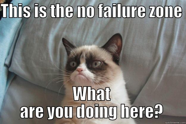 THIS IS THE NO FAILURE ZONE  WHAT ARE YOU DOING HERE? Grumpy Cat