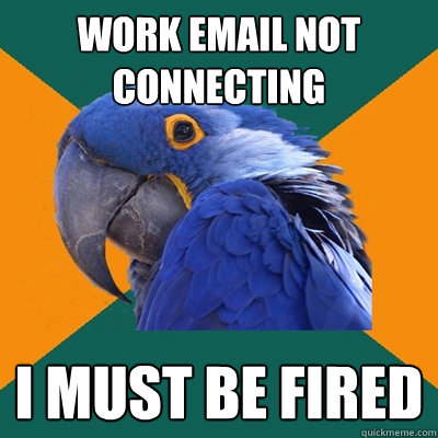 work email not connecting i must be fired  Paranoid Parrot