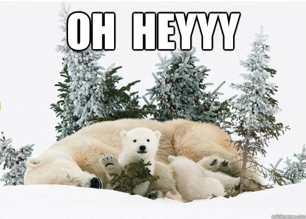 OH  hEYYY  - OH  hEYYY   baby polar bear wave
