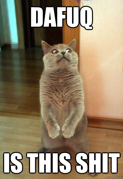 Dafuq is this shit  Horrorcat