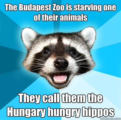 The Budapest Zoo is starving one of their animals They call them the Hungary hungry hippos  Lame Pun Coon