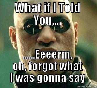 WHAT IF I TOLD YOU.... ......EEEERM, OH, FORGOT WHAT I WAS GONNA SAY Matrix Morpheus