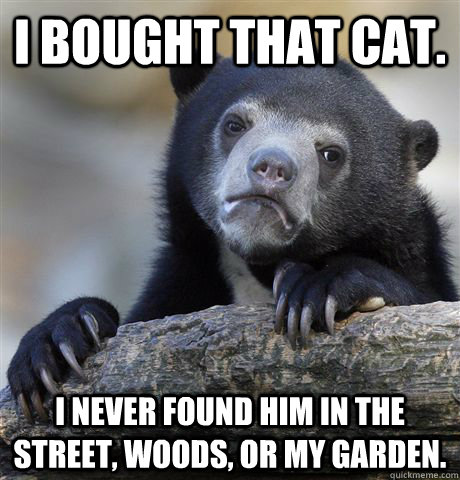 I bought that cat. I never found him in the street, woods, or my garden.  Confession Bear