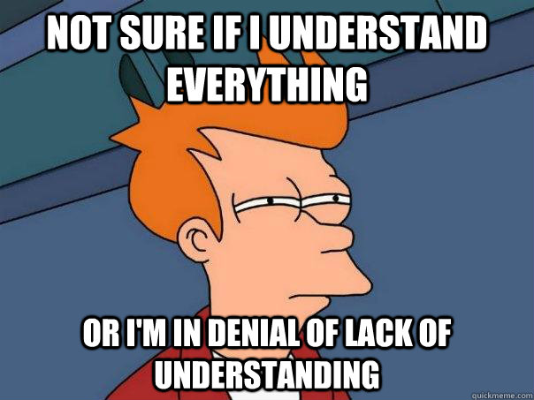 Not sure if I understand everything Or I'm in denial of lack of understanding - Not sure if I understand everything Or I'm in denial of lack of understanding  Futurama Fry