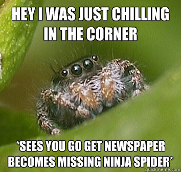 hey i was just chilling in the corner *sees you go get newspaper becomes missing ninja spider*  Misunderstood Spider