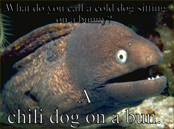 WHAT DO YOU CALL A COLD DOG SITTING ON A BUNNY?  A CHILI DOG ON A BUN. Bad Joke Eel