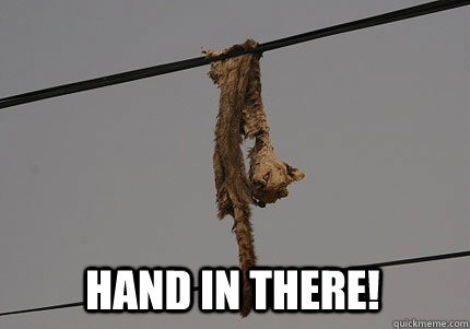 Hand in there!  Hang in there