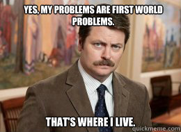 Yes, my problems are first world problems.

 That's where I live.  Ron Swanson
