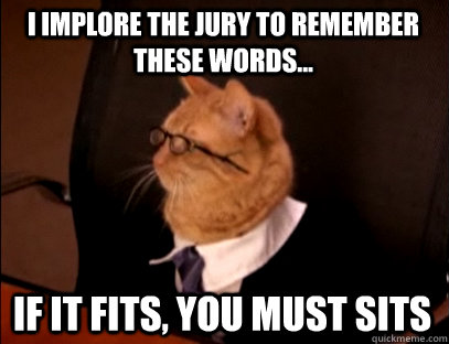 I implore the jury to remember these words... If it fits, you must sits - I implore the jury to remember these words... If it fits, you must sits  Lawyer Cat