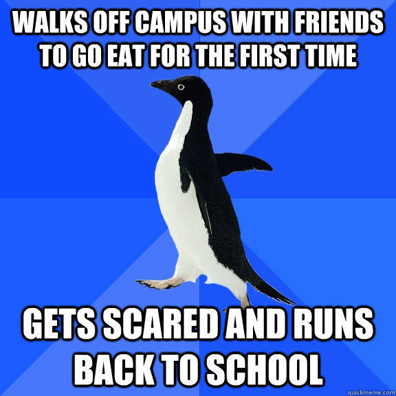 walks off campus with friends to go eat for the first time gets scared and runs back to school  Socially Awkward Penguin