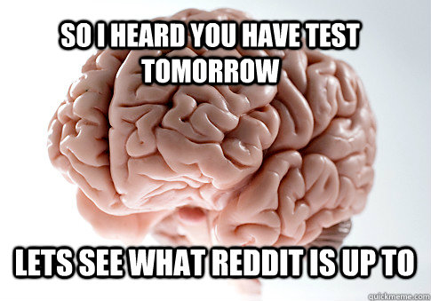 So i heard you have test tomorrow lets see what Reddit is up to   Scumbag Brain
