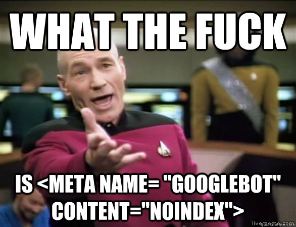 what the fuck is <meta name= 