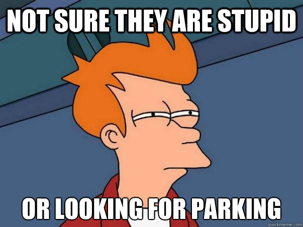 Not sure they are stupid or looking for parking  Not sure Fry