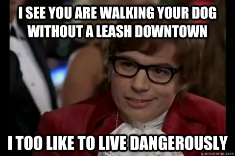 I see you are walking your dog without a leash downtown i too like to live dangerously  Dangerously - Austin Powers