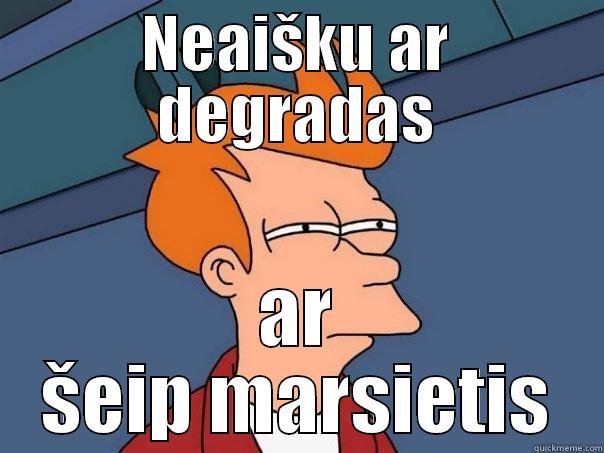 NEAIŠKU AR DEGRADAS AR ŠEIP MARSIETIS Futurama Fry