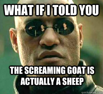 What if i told you The screaming goat is actually a sheep - What if i told you The screaming goat is actually a sheep  WhatIfIToldYouBing