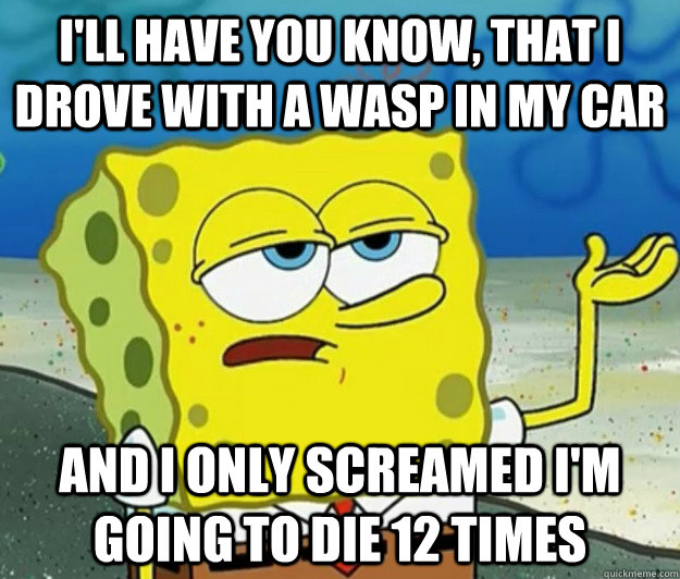 I'll have you know, that I drove with a wasp in my car And I only screamed I'm going to die 12 times - I'll have you know, that I drove with a wasp in my car And I only screamed I'm going to die 12 times  Tough Spongebob