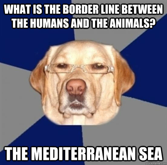 What is the border line between the humans and the animals? The mediterranean sea  Racist Dog