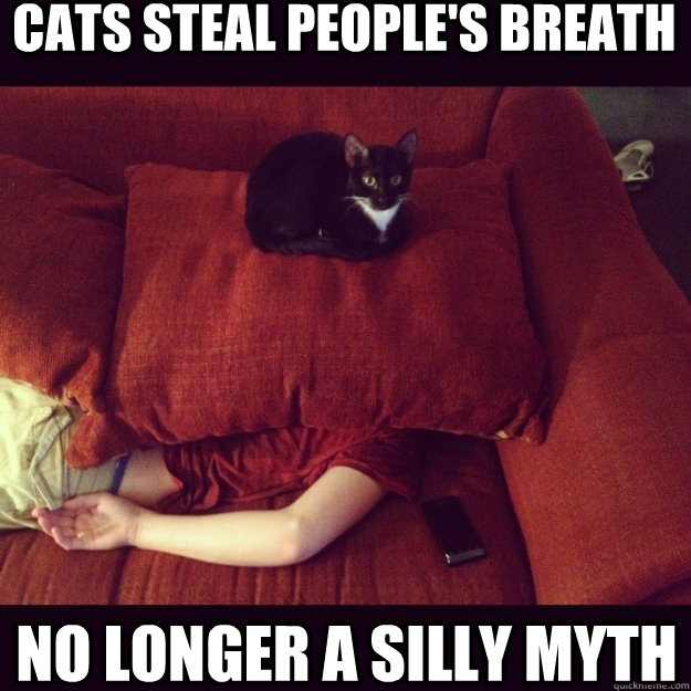 Cats steal people's breath No longer a silly myth   
