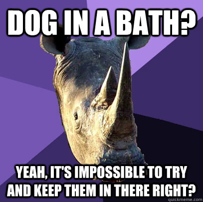 DOG IN A BATH? YEAH, IT'S IMPOSSIBLE TO TRY AND KEEP THEM IN THERE RIGHT?  Sexually Oblivious Rhino