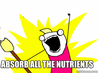  Absorb ALL the nutrients  All The Things