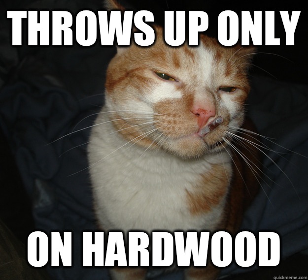 throws up only on hardwood  Cool Cat Craig