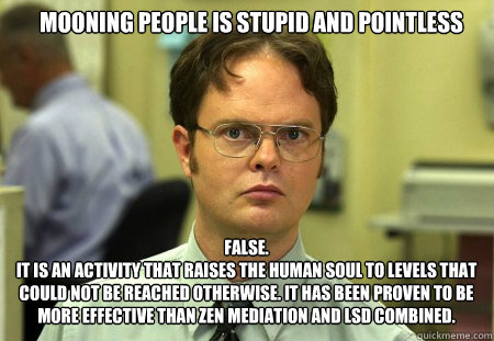 Mooning people is stupid and pointless False.
It is an activity that raises the human soul to levels that could not be reached otherwise. It has been proven to be more effective than zen mediation and LSD combined.  Schrute