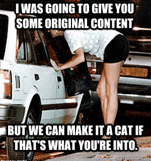 I was going to give you some original content But we can make it a cat if that's what you're into.  Karma Whore