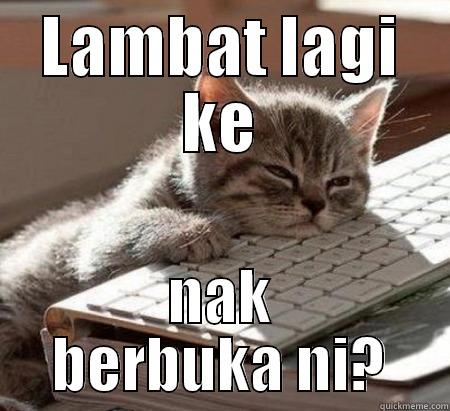 kucing pun letih puasa - LAMBAT LAGI KE NAK BERBUKA NI? Misc