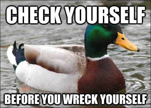 check yourself before you wreck yourself  Actual Advice Mallard