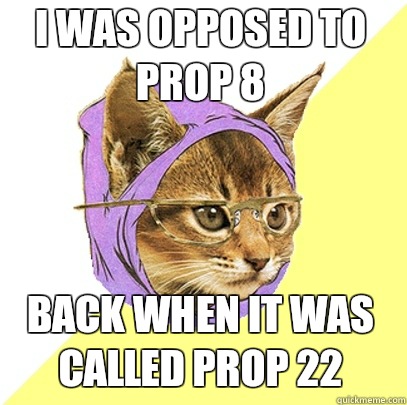 I was opposed to Prop 8 back when it was called Prop 22  Hipster Kitty
