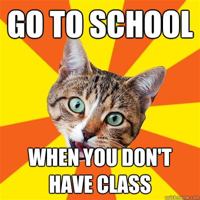 go to school when you don't 
have class - go to school when you don't 
have class  Bad Advice Cat