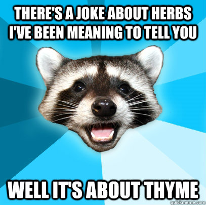there's a joke about herbs i've been meaning to tell you well it's about thyme  Lame Pun Coon